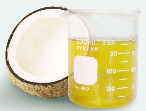 How to eat to lose fat with coconut oil