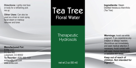 Tea Tree Hydrosol 2 oz.